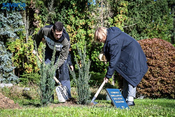 A Hospice s Palliatv Ellts Vilgnapja: emlkezs s tisztelgs falltetssel