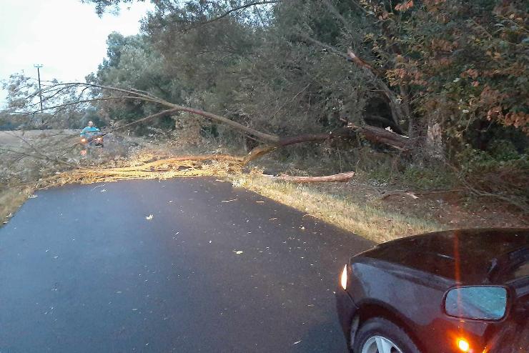 106 km/rs szllks a Kendig-cscson: fkat dnttt ki a vihar Kszeghegyaljn