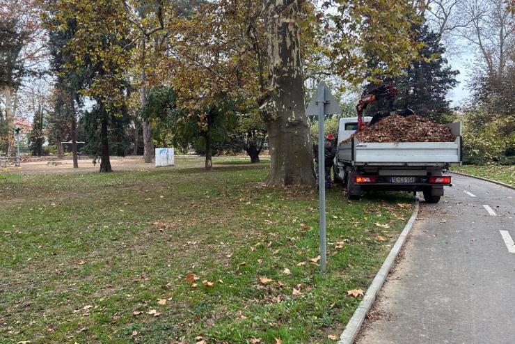 Lombgyjts Szombathelyen: ma a Kresz parkban dolgoztak a Szompark munkatrsai