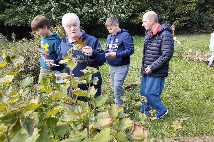 Szombathelyi Evanglikus Diakniai Kzpont: Bibliai tansvny a kertben 