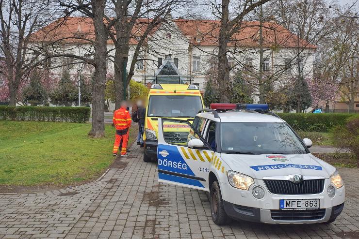 ngyilkossgra kszlhetett egy frfi a Pelikn parkban 