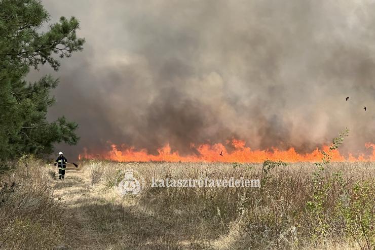 Hatalmas tz puszttott Csnge trsgben, jflre a lngokat sikerlt megfkezni (frisstve)