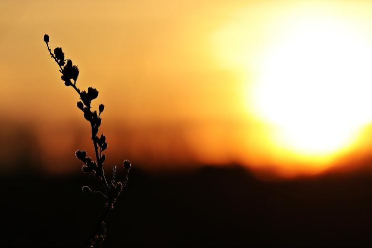 Kedden tlagosan 8,5 Celsius-fokkal volt melegebb a sokves tlagnl