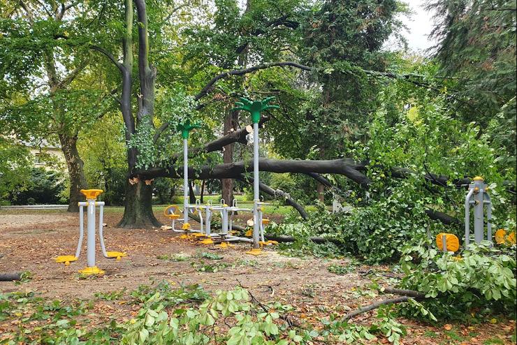 Letrt g ronglt meg egy fitneszparki eszkzt szerdn a Vztoronynl