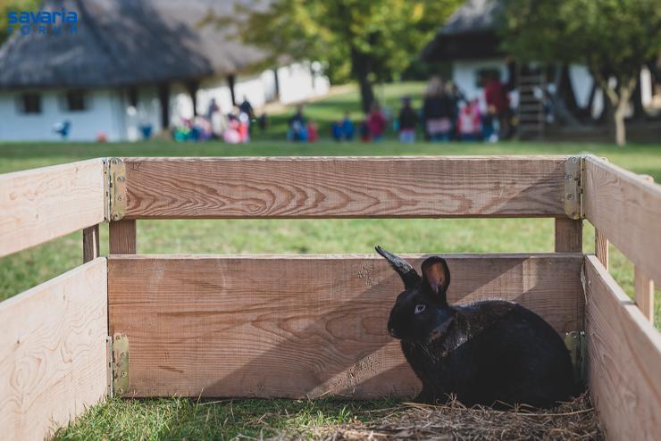 Hsvthtf a Vasi Skanzenben