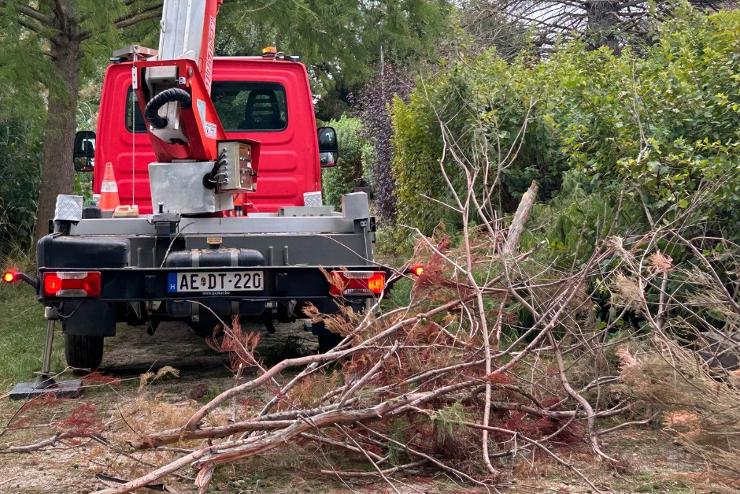 Dolgozik a Szompark a viharkrok felszmolsn