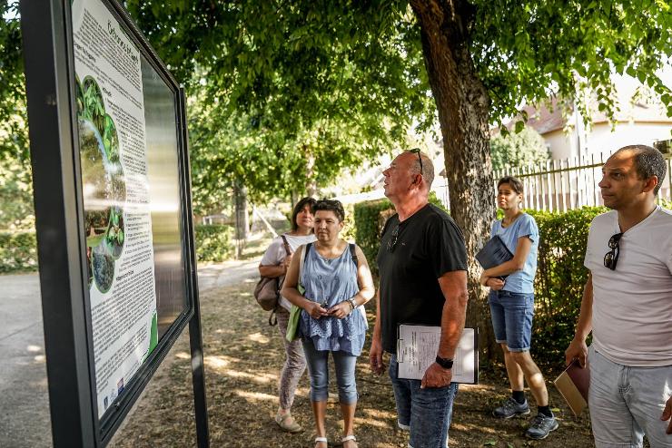 Elkszlt a Dsi iskola udvarnak zldtse