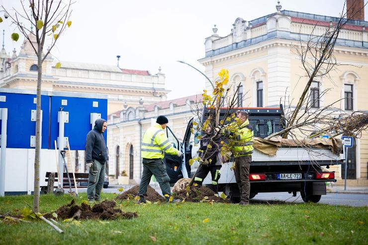 Mintegy 200 ft ptol a Szompark