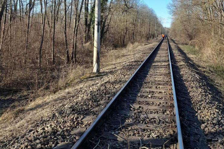 Gzolt a vonat Gyrnl, kssek vrhatk