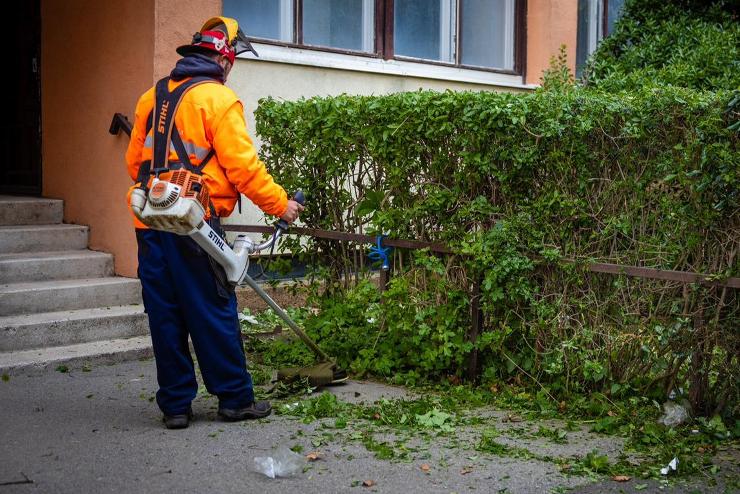 n szerint hol kell fkat metszeni Szombathelyen? Javaslatokat vr a Szompark