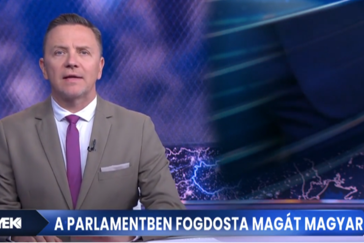 Megbntettk a TV2-t a Magyar Pter nemi szervrl szl riport miatt